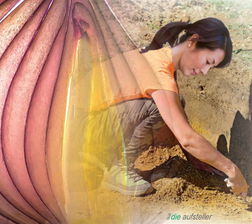 Das Abtragen von Schichten bei der Systemische Aufstellungen in Form mehrerer zeitlich verschobenen Aufstellungen – Glossar – Lexikon – owi - open way institute – www.owi-die-aufsteller.ch