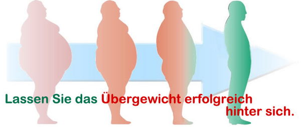 Lassen Sie das Übergewicht erfolgreich hinter - Metabolic-Typing - owi - open way institute