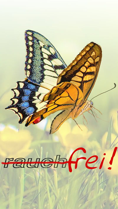 Die Metamorphose vom Raucher zum Nichtraucher  -  owi - open way institute für Systemische Aufstellungen