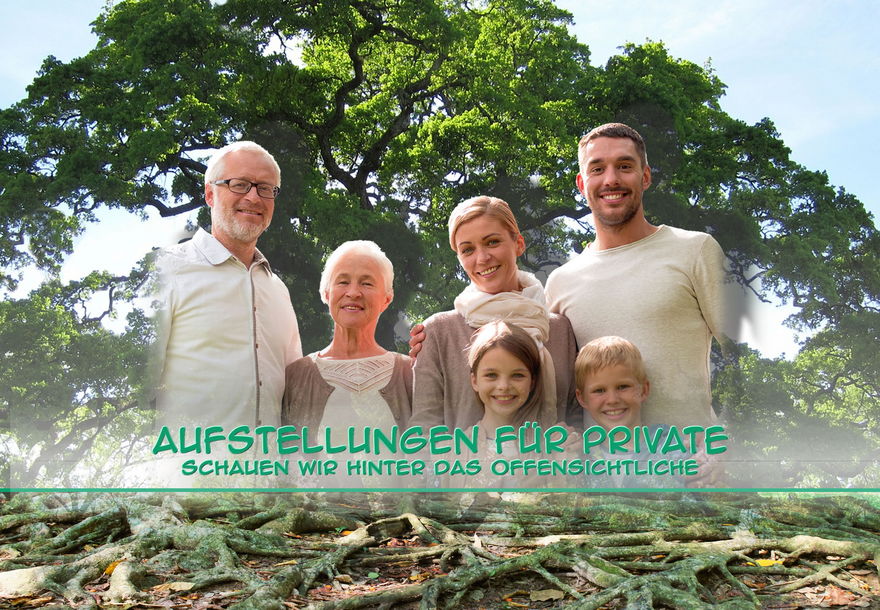 Systemische Aufstellungen für den Privatbereich - Systemische Familienaufstellungen, Strukturaufstellungen, Persönlichkeitsaufstellungen - owi - open way institute - www.owi-die-aufsteller.ch