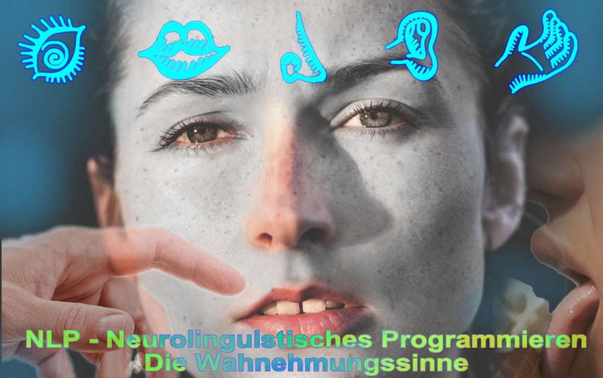 Systemische Aufstellungen und Coaching mit - NLP - Neurolinguistisches Programmieren - open way institute – www.owi-die-aufsteller.ch