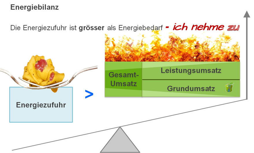 Gewichts-Coaching - Energiebilanz, Uebergewicht, Abnehmen  - owi - open way institute - www.owi-die-aufsteller.ch