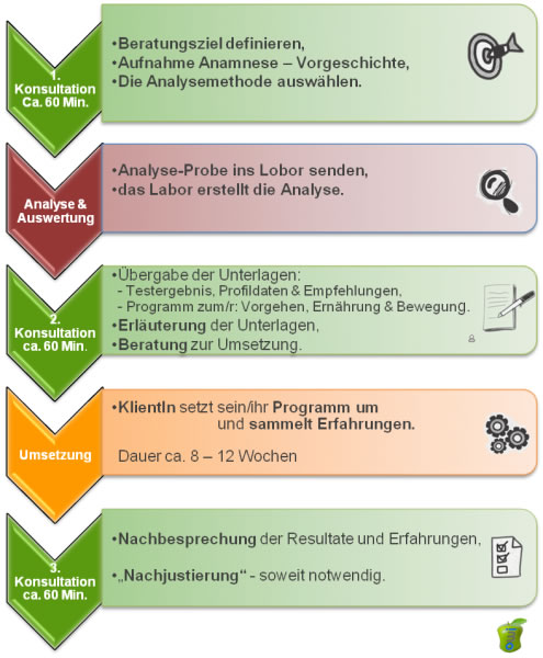 Bei Übergewicht- Abnehmen - Die Schritte zum Idealgewicht - owi - open way institute