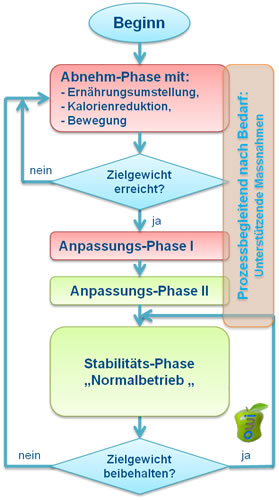 Bei Übergewicht- Abnehmen - Abnehm-Phasen - Metabolic-Typing - owi - open way institute