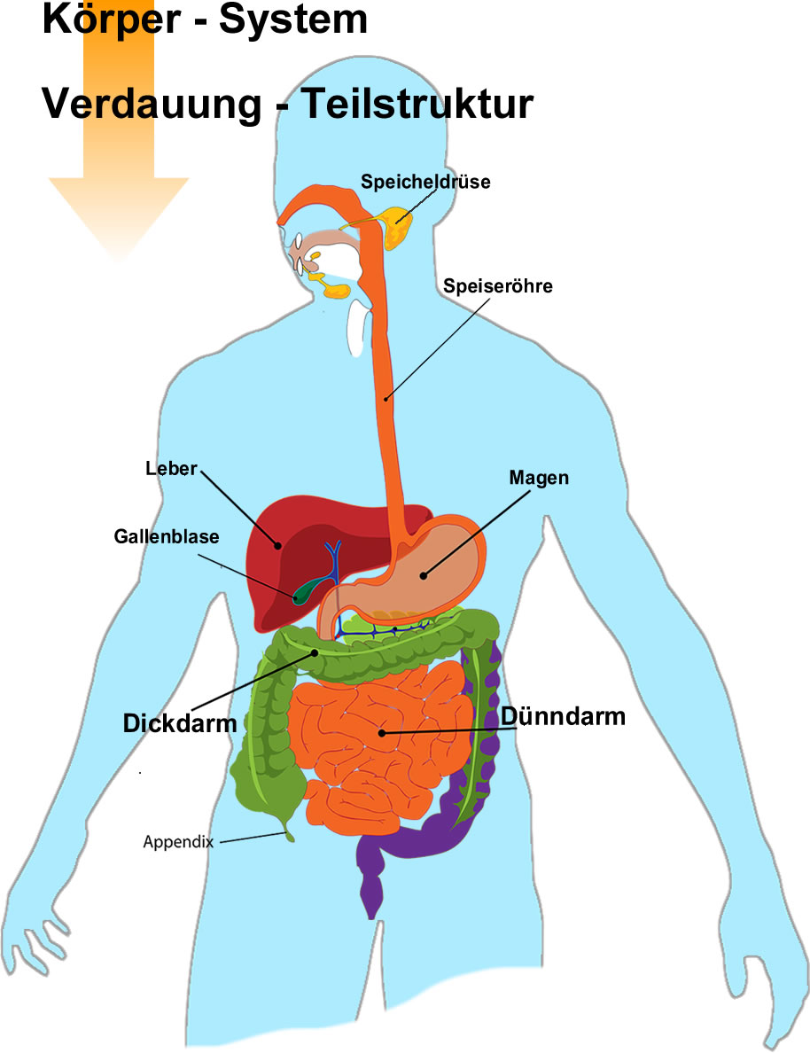Strukturen -Systeme - Teilsysteme - open way institute – www.owi-die-aufsteller.ch