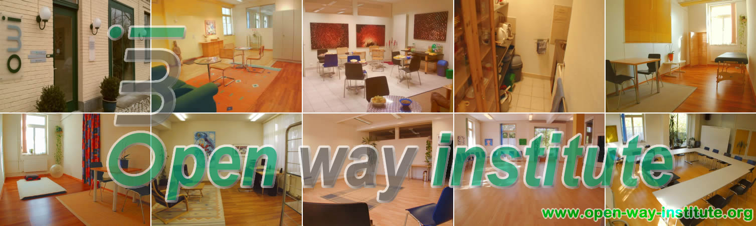 owi - open way institute - Institut für Systemische Aufstellungen & Coaching - www.open-way-institute.org